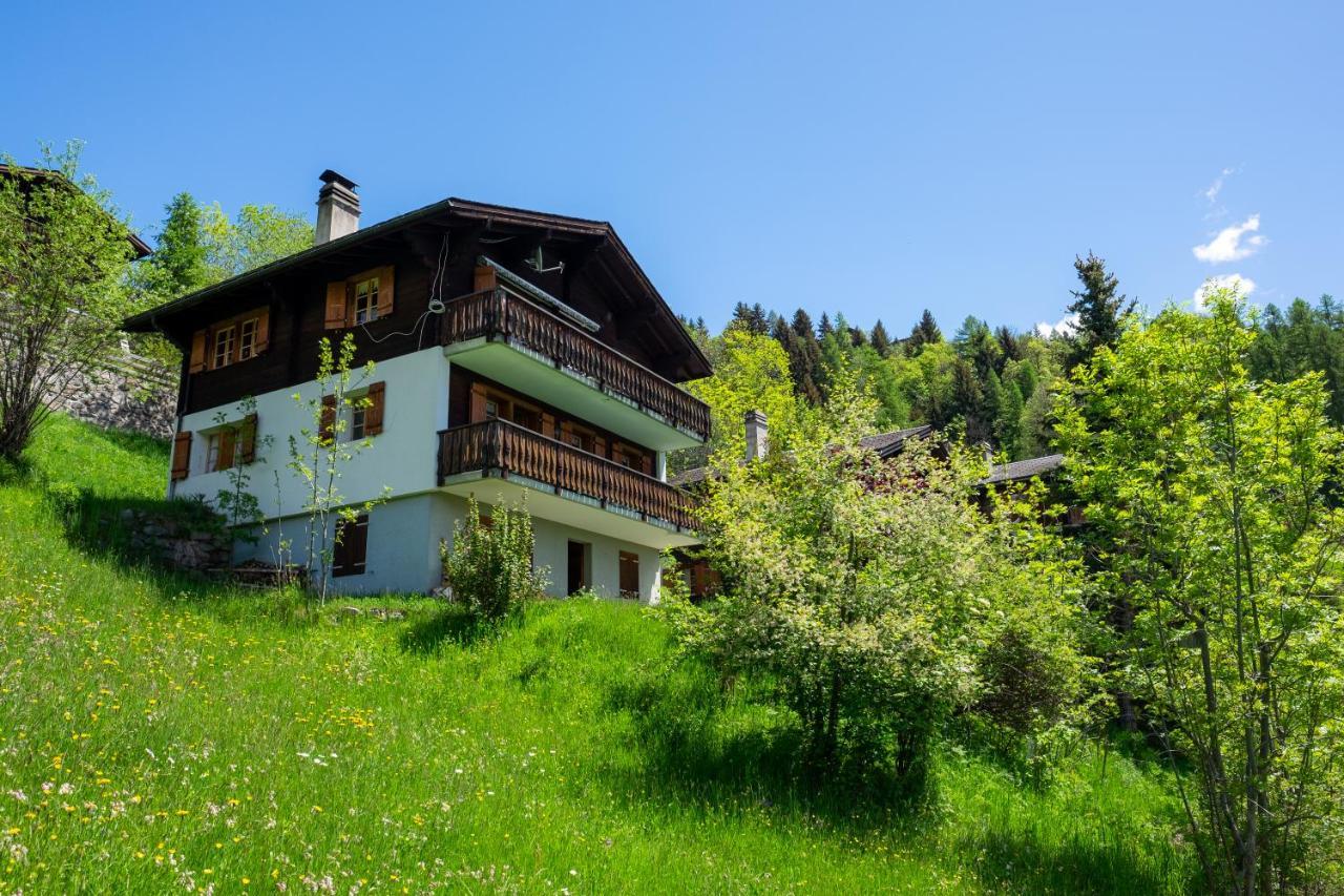 Chalet Orion Bellwald Zewnętrze zdjęcie